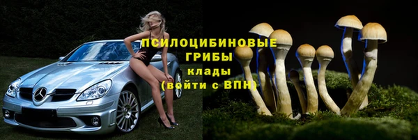 а пвп мука Абаза