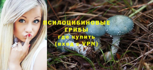 МДПВ Алексин