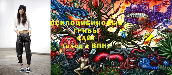дживик Вуктыл