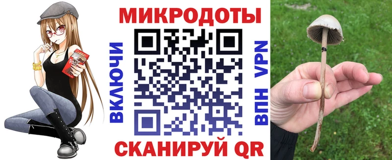 дарк нет Telegram  продажа наркотиков  Знаменск  Псилоцибиновые грибы прущие грибы 
