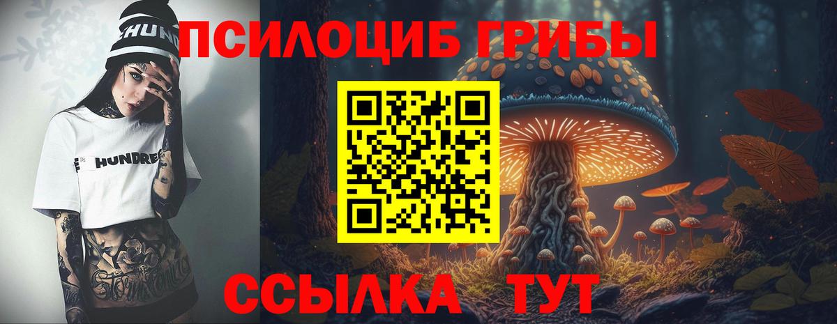 Псилоцибиновые грибы Psilocybe  Вход с VPN  сколько стоит  Знаменск 